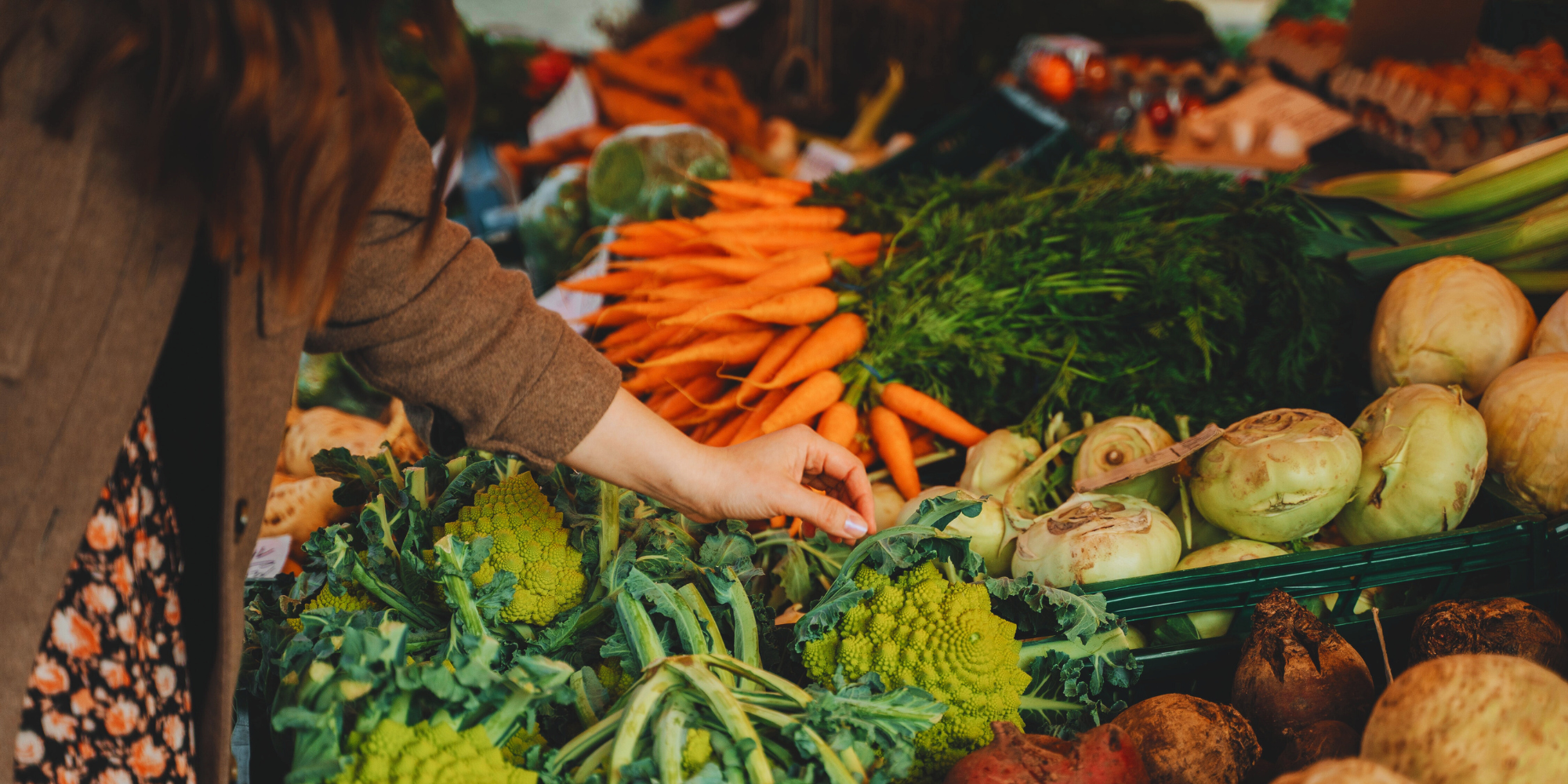 A person selecting fresh vegetables at a farmer’s market, with bundles of carrots, kohlrabi, and Romanesco broccoli displayed on the table.
